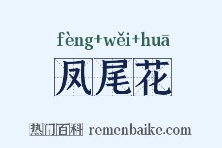 凤尾花是什么意思的图片